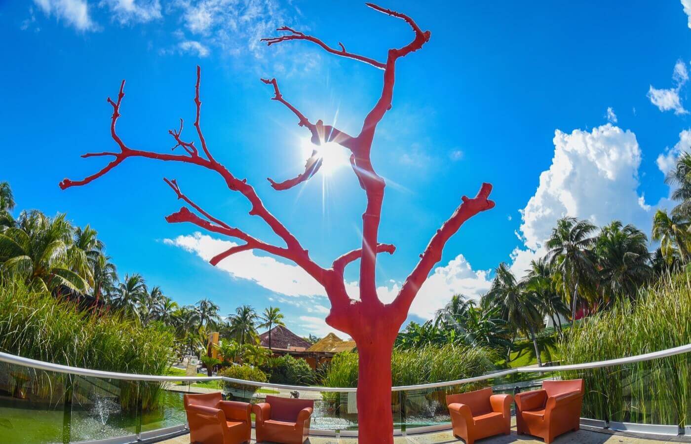 Árbol rojo sin hojas en área abierta del hotel The Pyramid at Grand Oasis