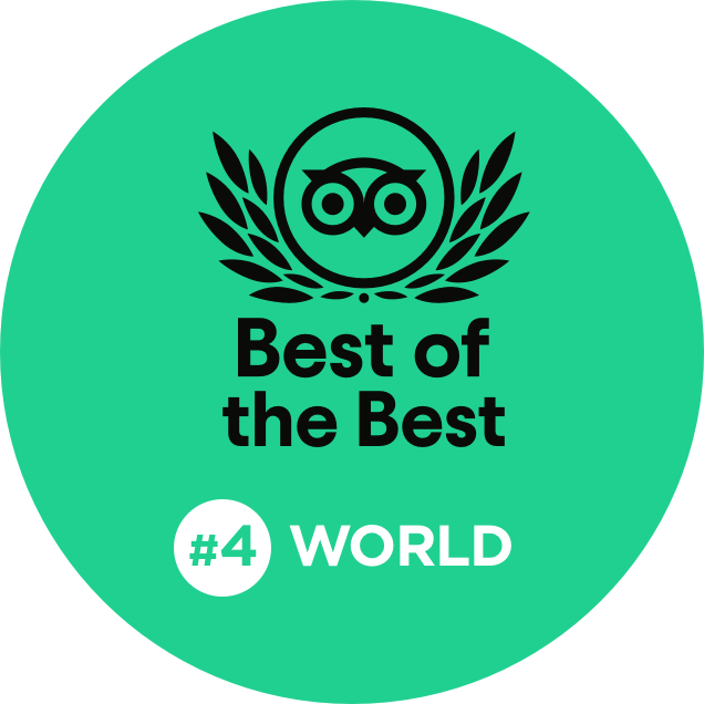 Best of the Best #4 World