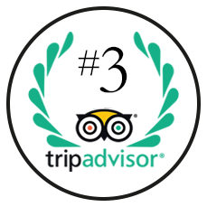 TripAdvisor Ranking #3 Cancún